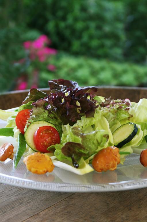 אילרטיסן Hotel & Restaurant Dornweiler Hof מראה חיצוני תמונה